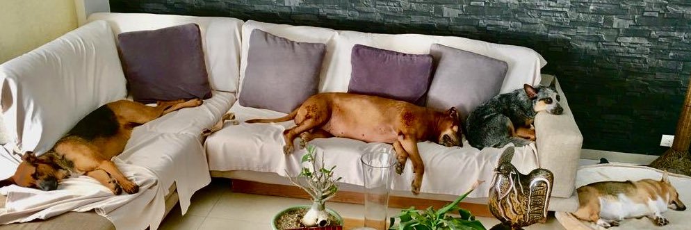 VidalRiveraMD banner