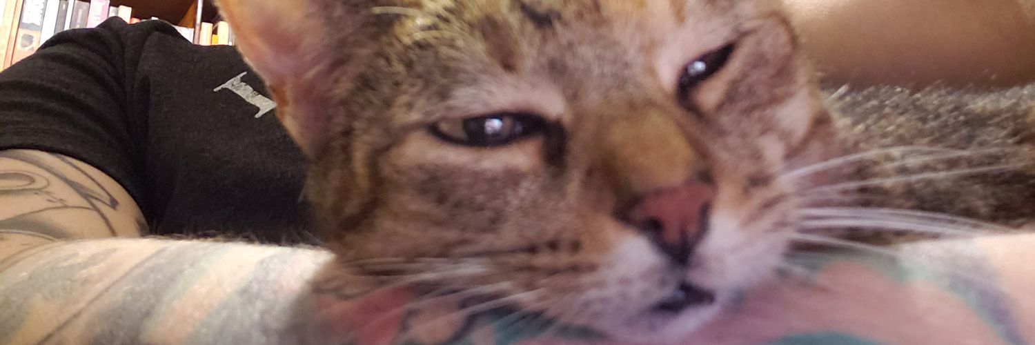 shitstar18's profile banner image