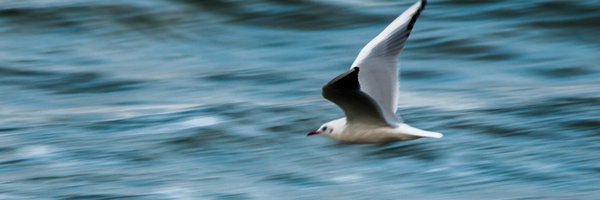 MarKubsch Profile Banner