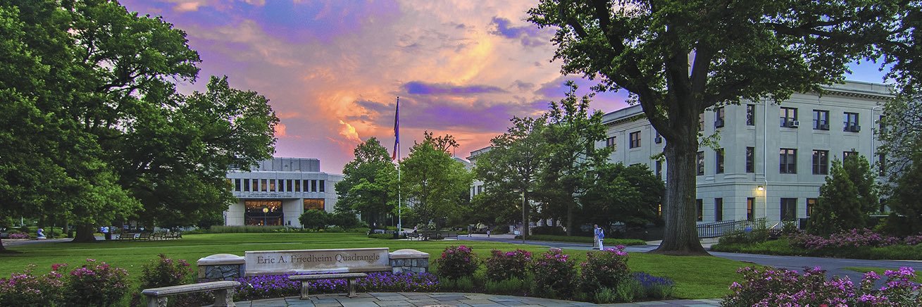 Jason Borrelli banner