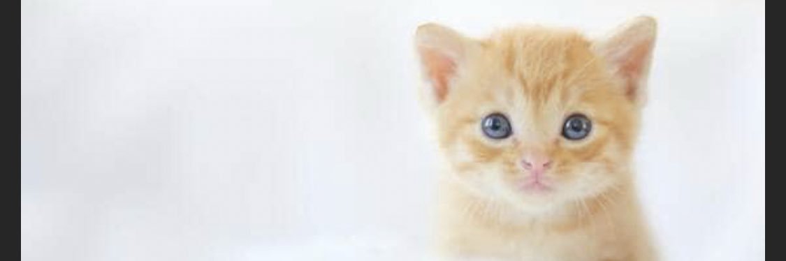 hirohirosapporo's profile banner image