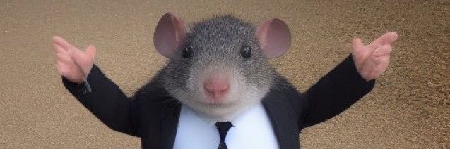 slippinat's profile banner image