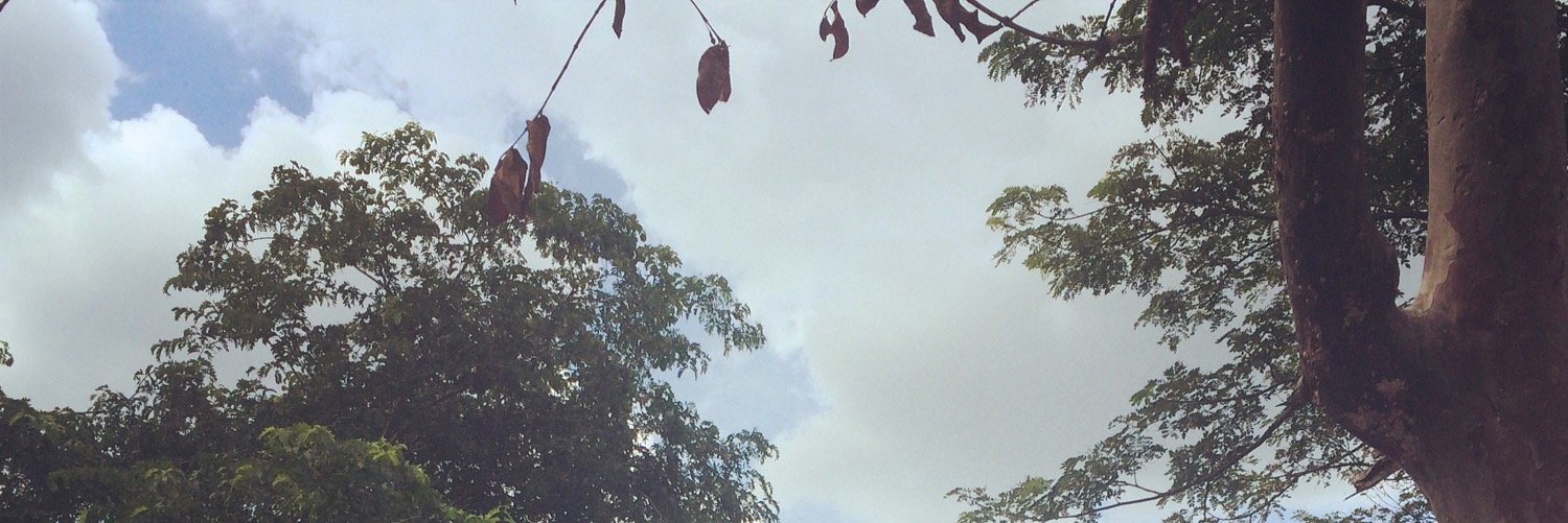 Muriel Jiménez banner