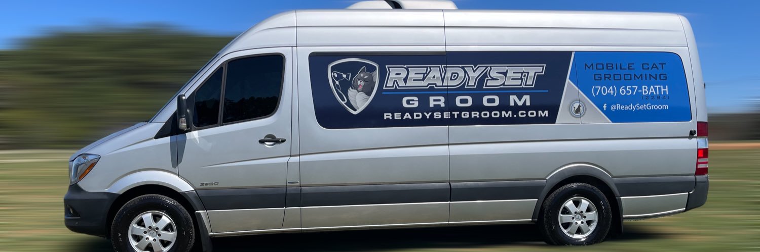 RSGcats's profile banner image