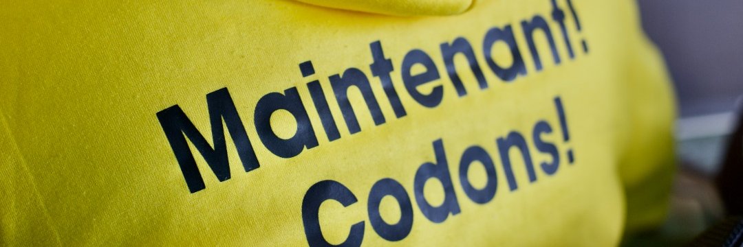 Seka cannel ulrich evrard banner