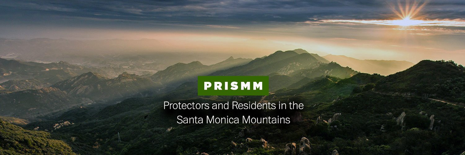 PRISMM banner
