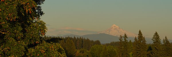 rshahmoh Profile Banner