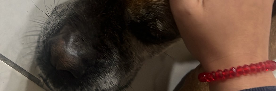 delCuencaa's profile banner image