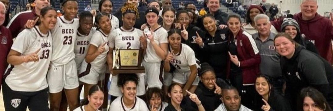 BeesBasketball1's profile banner image