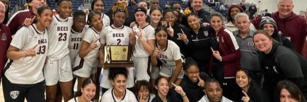 BeesBasketball1 Profile Banner