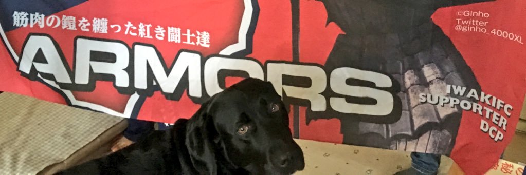 HI_LL's profile banner image