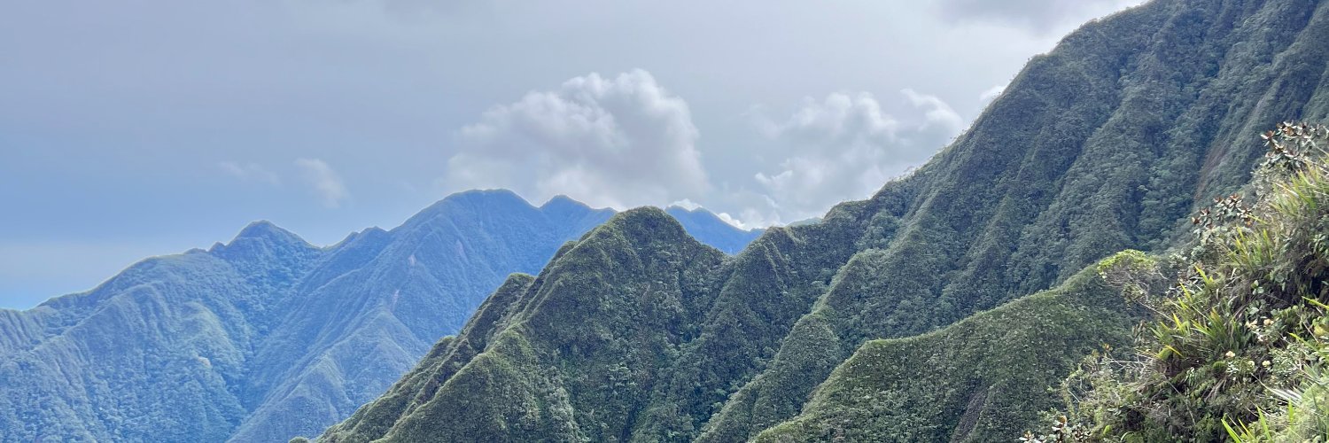 Juan Sebastián Cañas banner