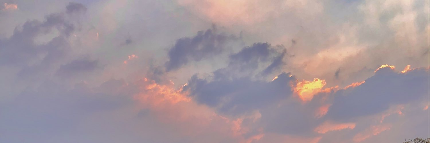 zoevayla's profile banner image