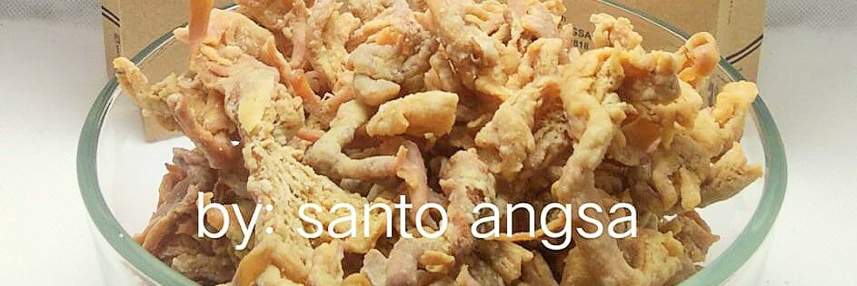 santoangsa's profile banner image