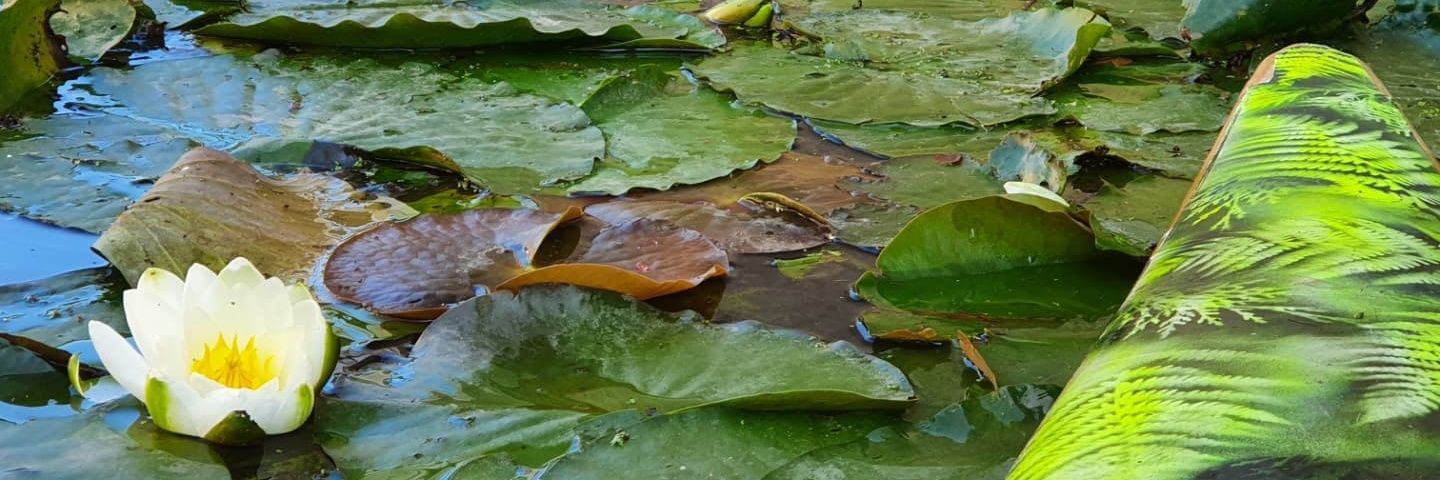 Stanislava Potupchik banner