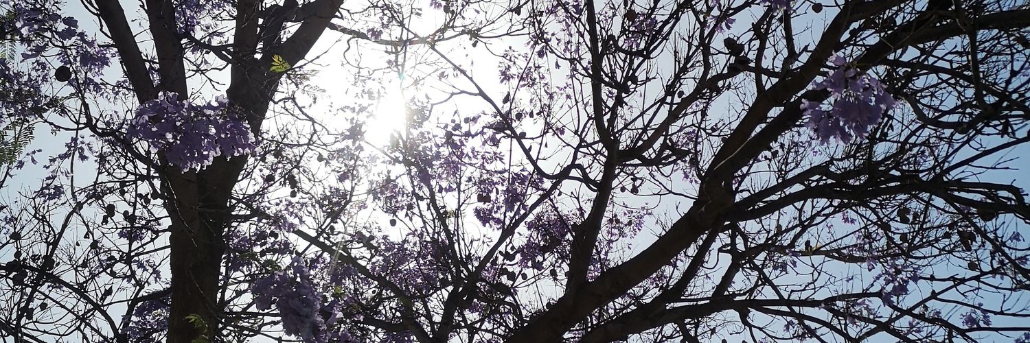 ValenGRivera's profile banner image