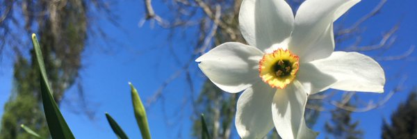 _Iorichan Profile Banner