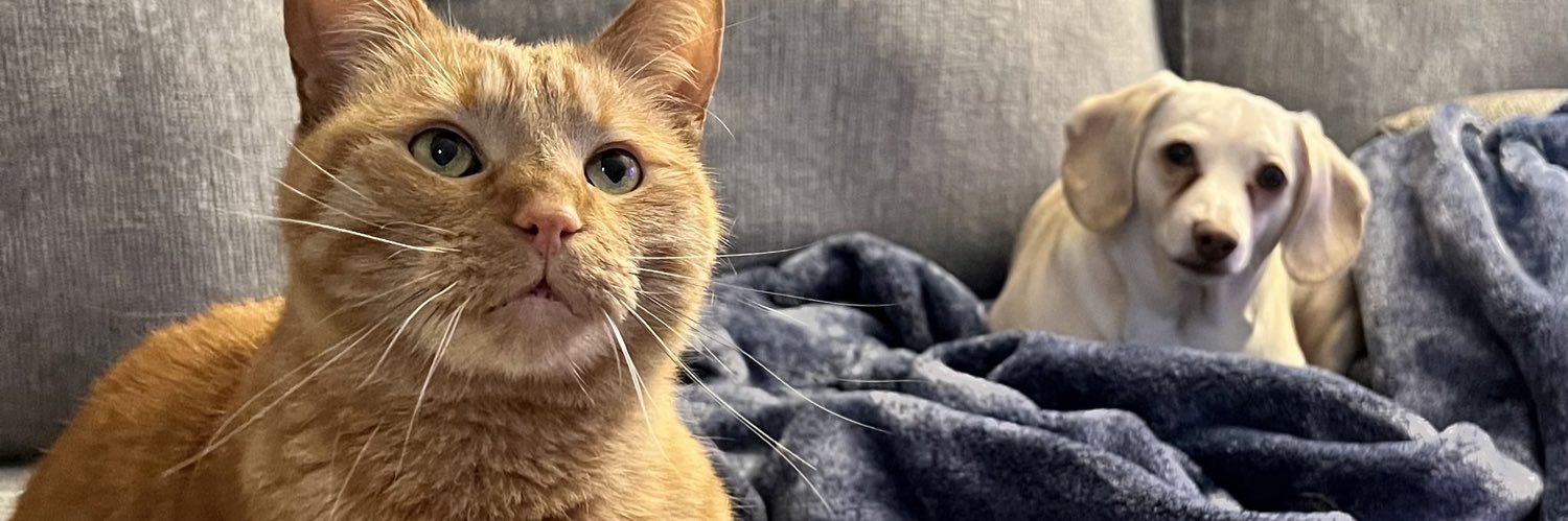 Brooklyn Magee banner