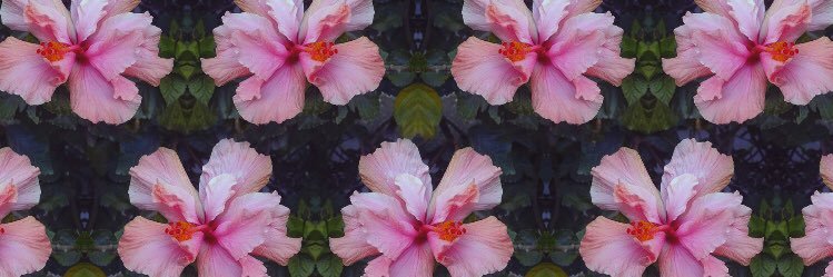 DennzMar23's profile banner image