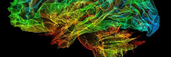 See @theMSguide banner