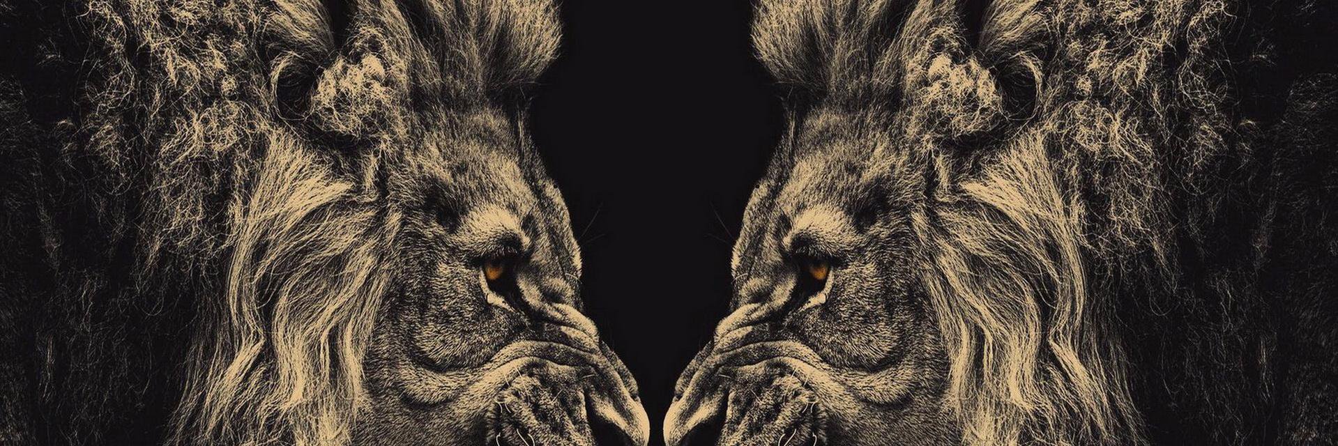 lfayed_'s profile banner image