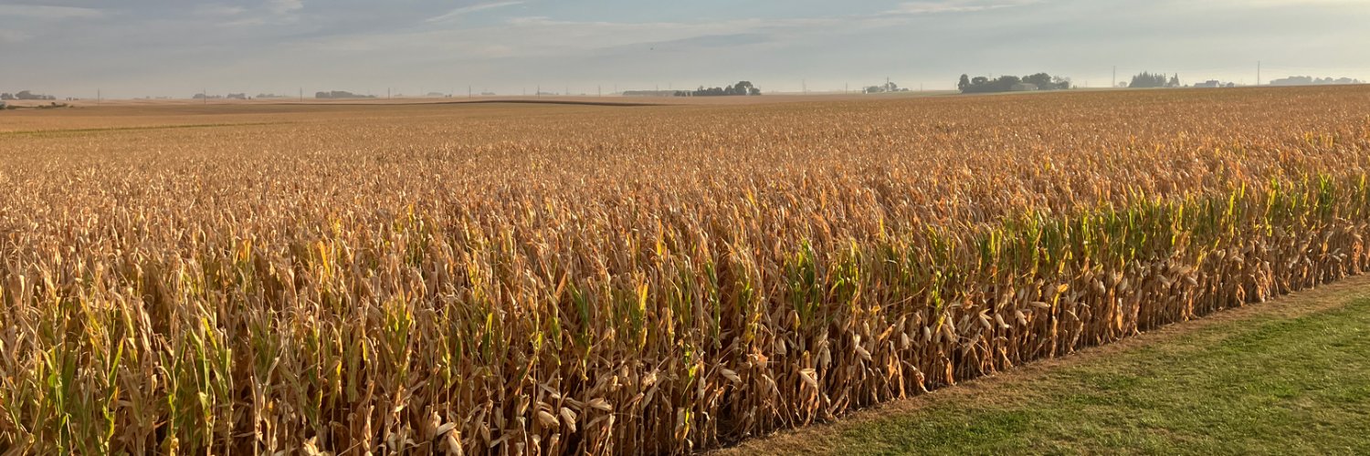 Chromatic Abberation banner