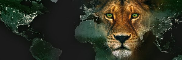 LiontrustViews Profile Banner