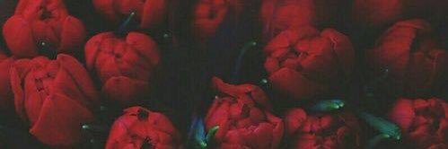 Rchan_zq's profile banner image