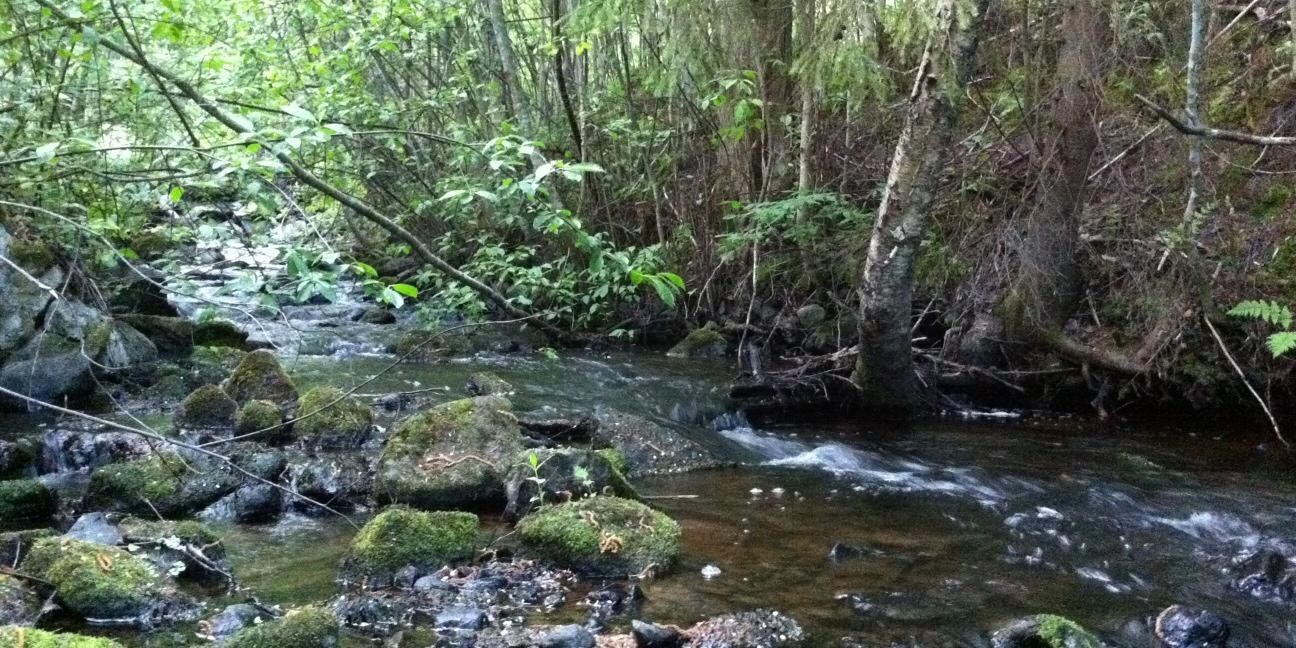 Juha-Matti Laurio banner