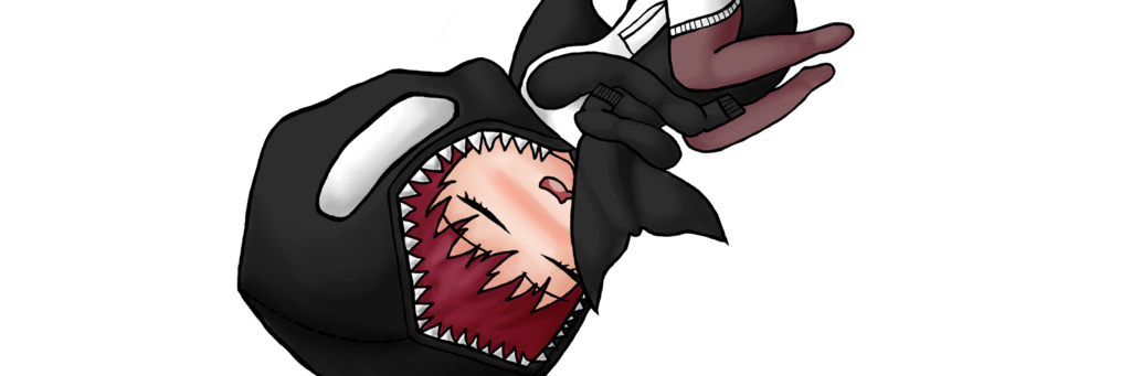 TehHeki's profile banner image