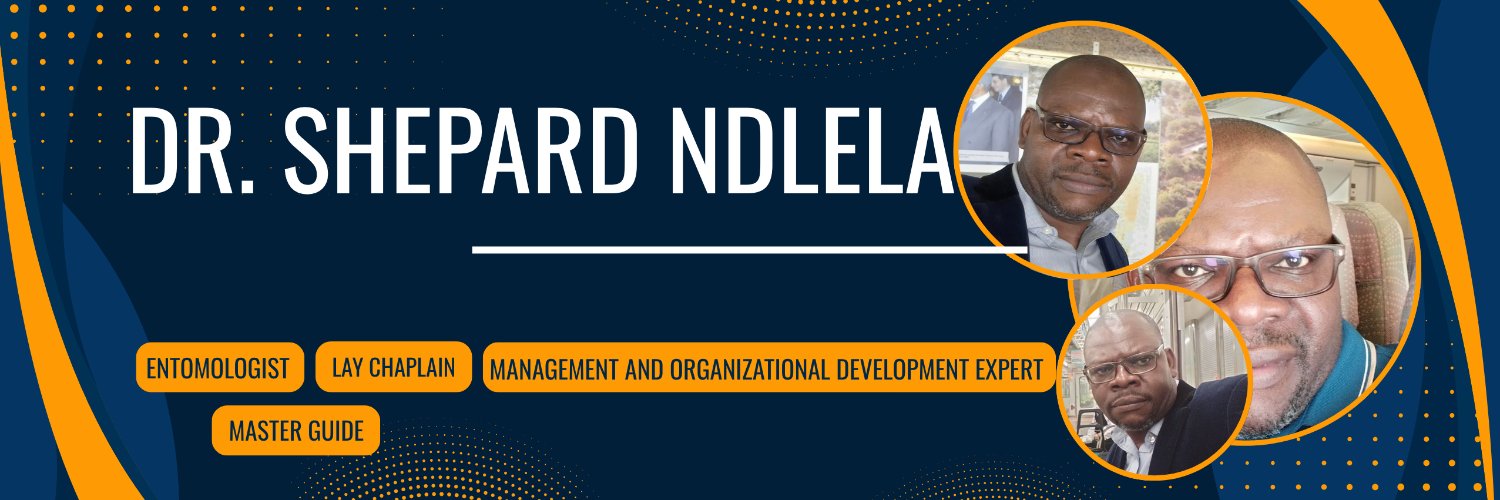 Shepard Ndlela banner
