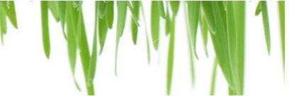 asiaskin's profile banner image
