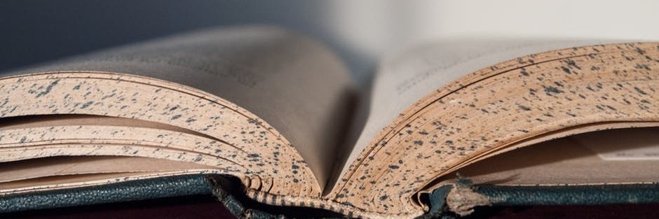 LibriChePassione banner