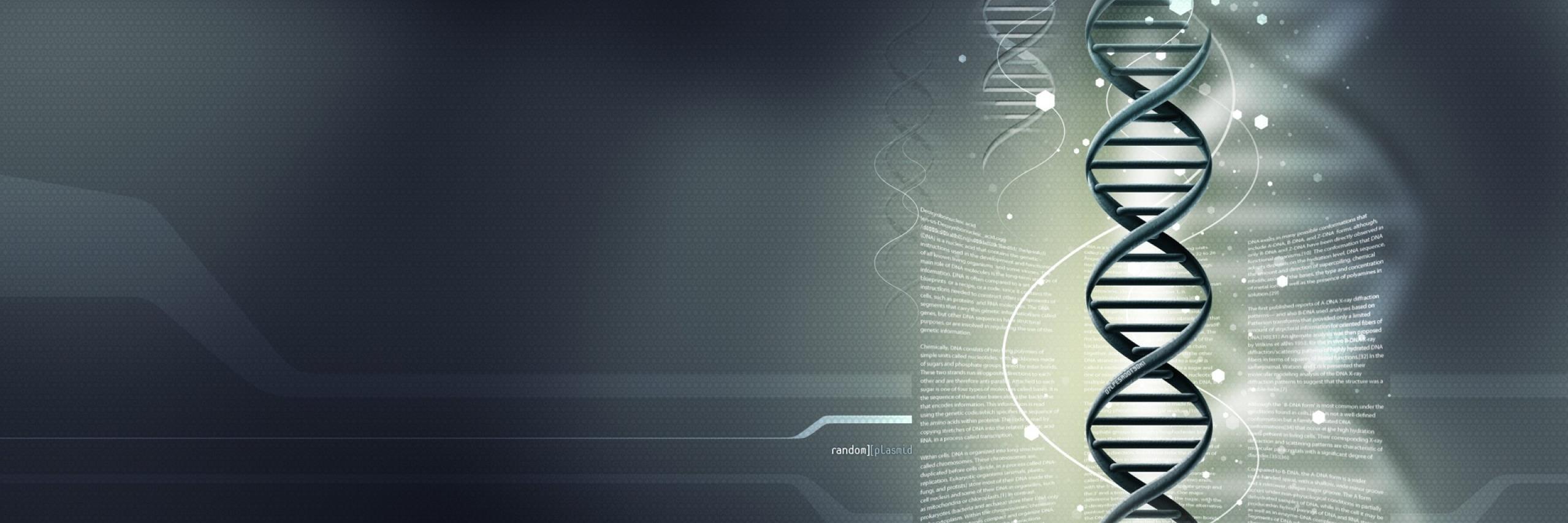 Maite Rodríguez banner