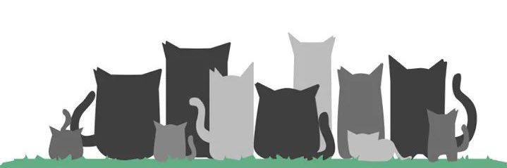 CES Utrera banner