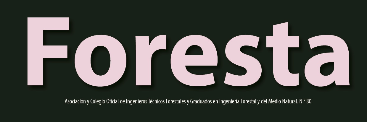 Revista Foresta banner