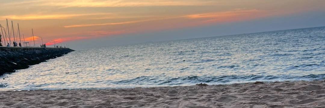 🐳 𝘒𝘰𝘪𝘴𝘢𝘯𝘨 🐳 banner