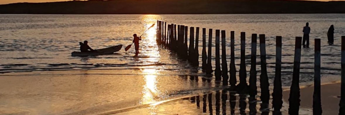 Greg Bate 🧢 banner