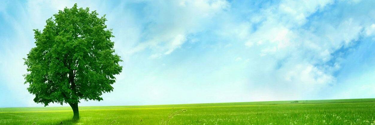 ebuzzspider's profile banner image
