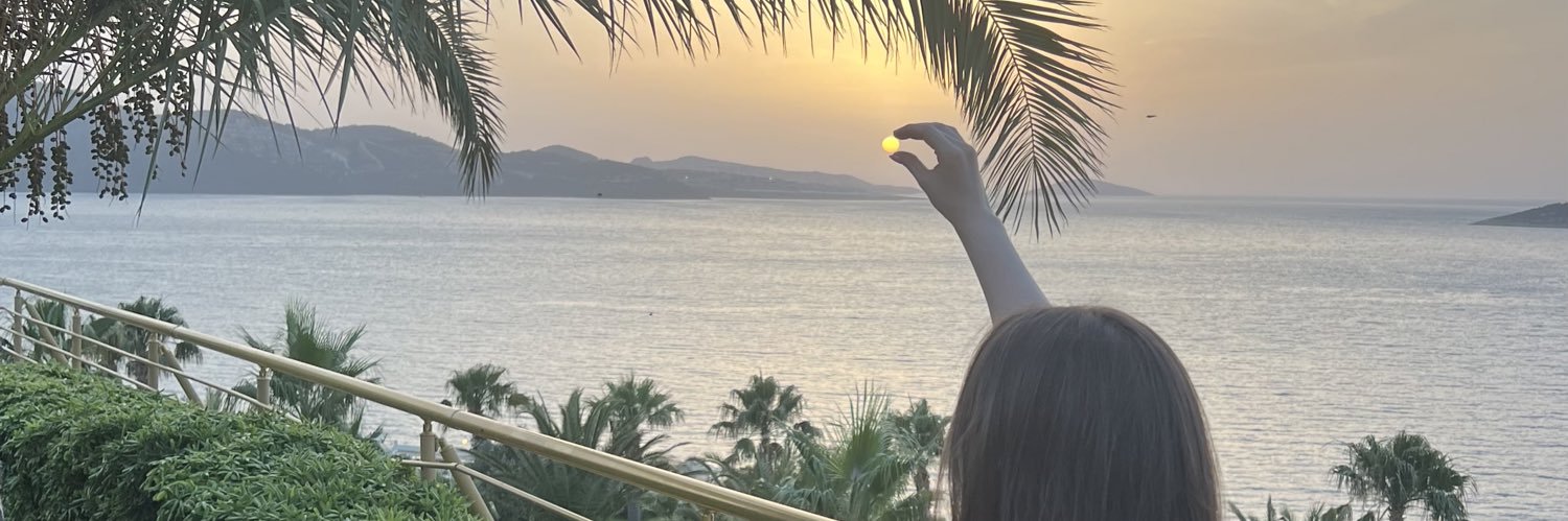 selinisildak_'s profile banner image