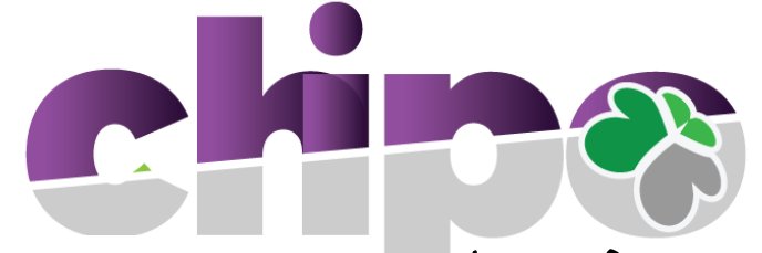 ChipoOnPurpose's profile banner image