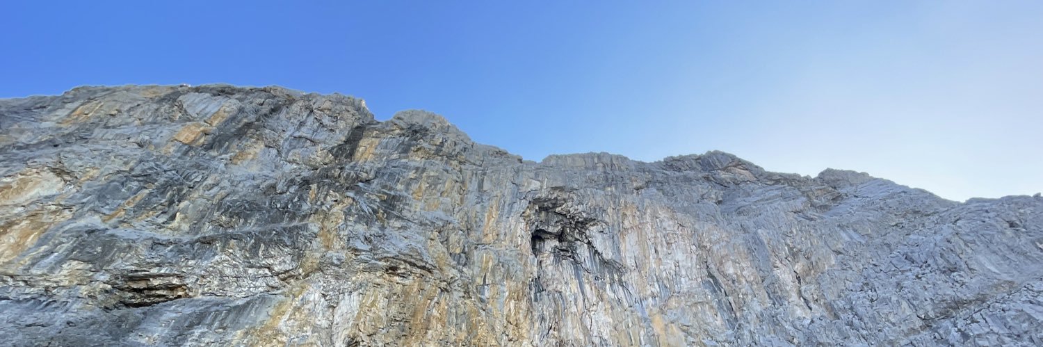 Schelbert Ramona banner