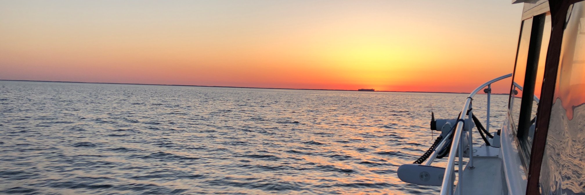 schaper's profile banner image