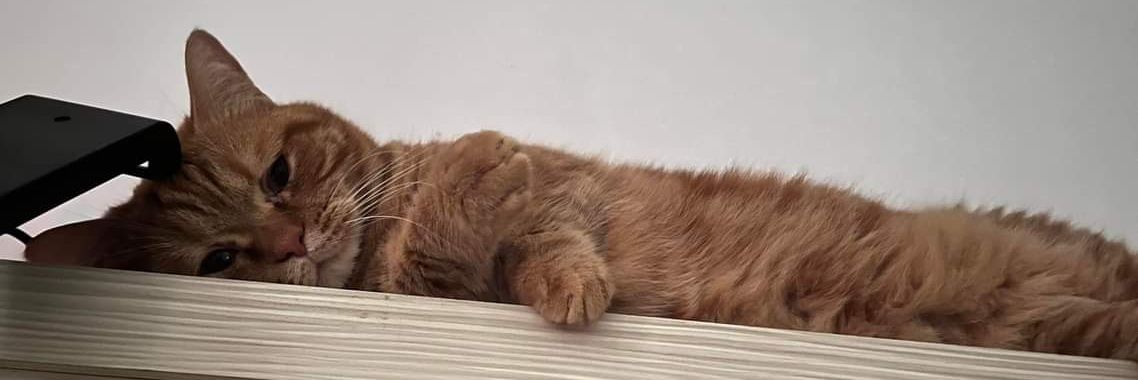 貝克唐ถัง banner