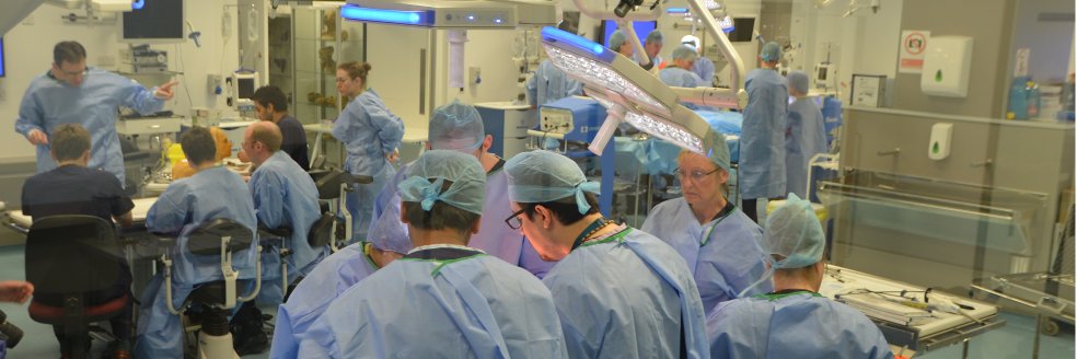 NW Core Surgery banner