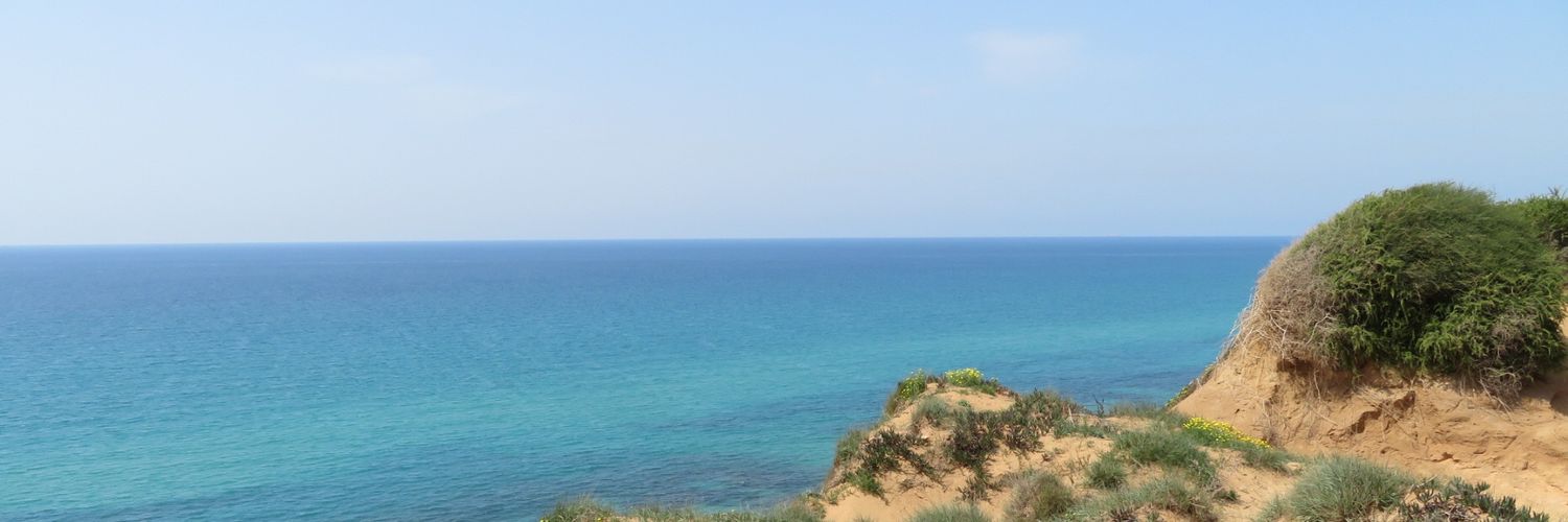 Annick Haentjens banner