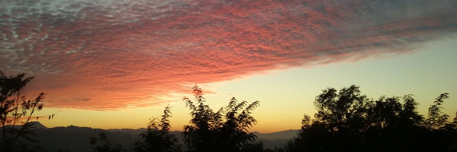 Mauda Liberti banner