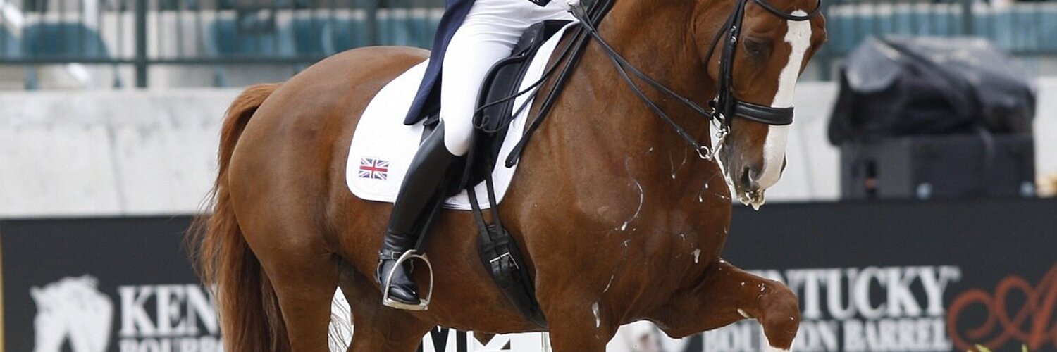 Laura Tomlinson (LauraB_dressage) Twitter