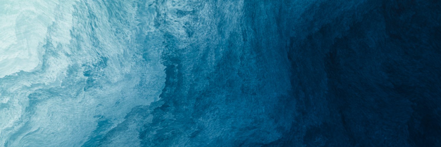 Minnowtech banner
