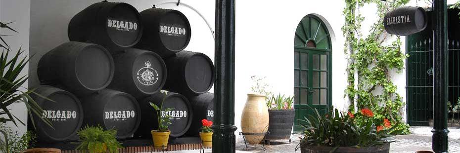 bodegasdelgado banner